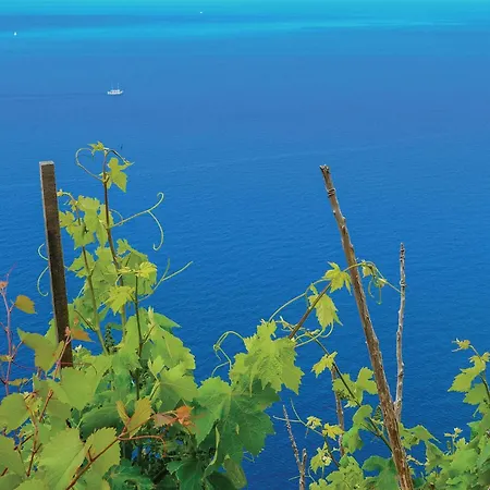 Stunning In Vikendica Drace