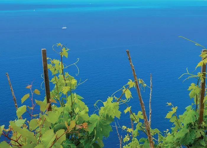 Stunning In Holiday home Drace